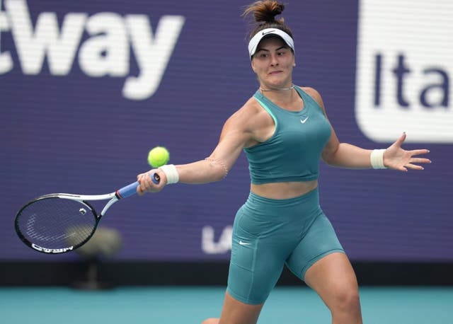 Andreescu was delighted to progress