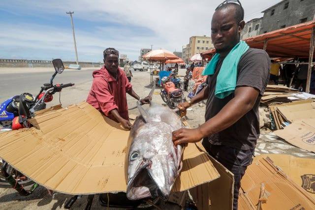 A Somali man prepares a fish for Ramadan at a market in Mogadishu 