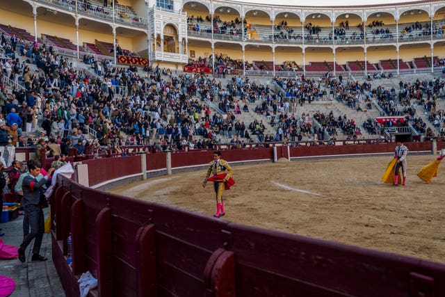 Ecuadorian bullfighter Mario Navas walks on the ring after killing a brave Fuente Ymbro ranch fighting small bull at Las Ventas bullring in Madrid, Spain