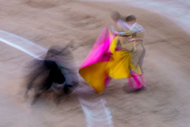 French bullfighter Yon Lamothe performs during a bullfight with young bulls at Las Ventas bullring in Madrid, Spain