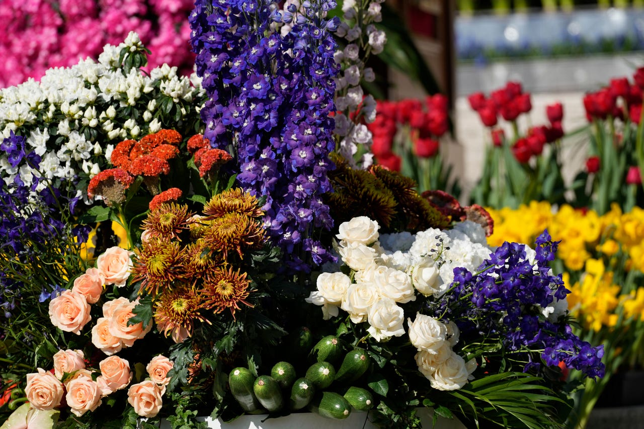 Pope celebrates Easter with big crowd in floweradorned Vatican square