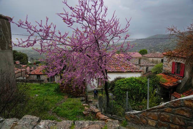 Turkey Gokceada Island Orthodox Easter Photo Gallery