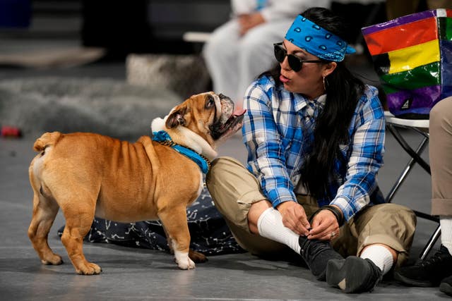 Christina DePrann, of Fonda, Iowa, sits with her bulldog Poncho during the 44th annual Drake Relays Beautiful Bulldog Contest