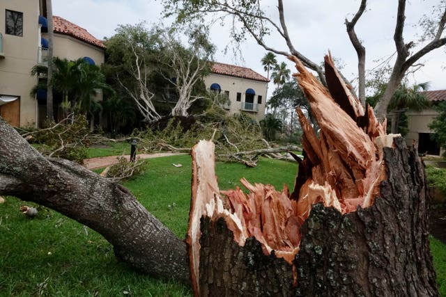 Damaged trees on a property after a reported tornado hit the area in Palm Beach Gardens, Florida