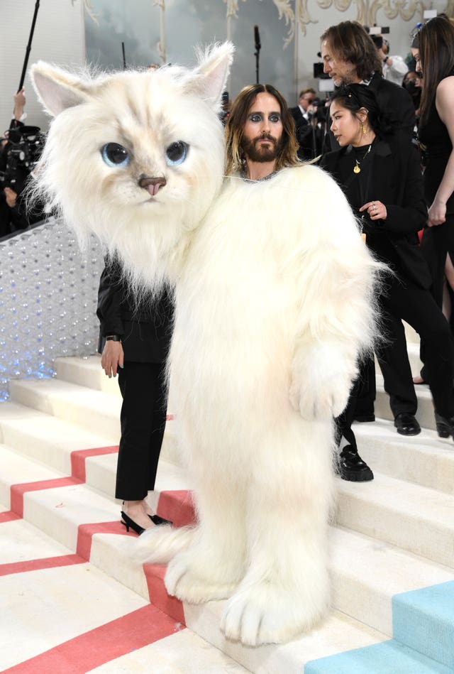 Karl Lagerfeld's cat honoured at Met Gala with feline-inspired outfits