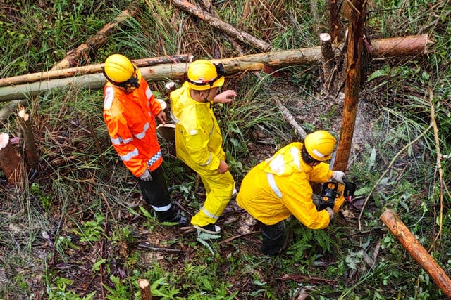 Workers clear fallen trees and bamboo along railway tracks amid the passage of Typhoon Talim in Nanning in southern China’s Guangxi Zhuang Autonomous Region