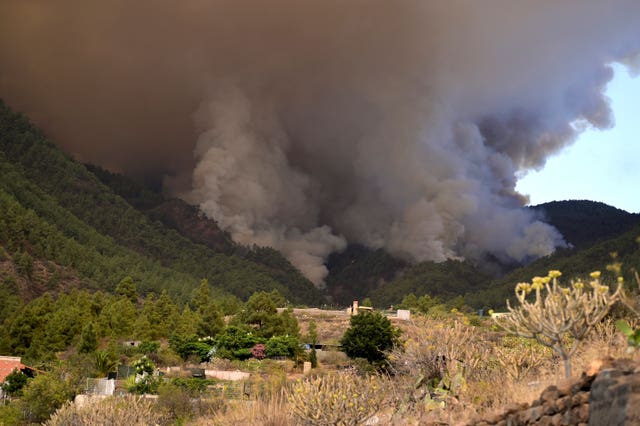 Smoke from burning woodland