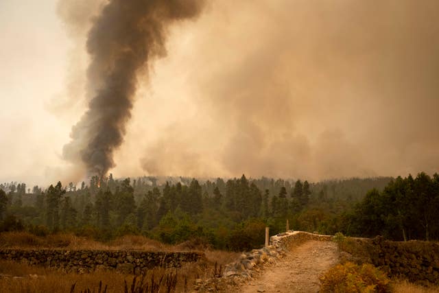 Spain Wildfire Tenerife