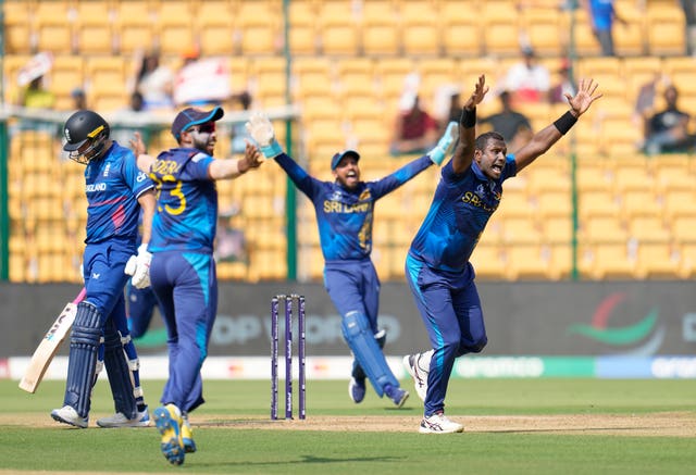 Angelo Mathews (right) celebrates the wicket for Dawid Malan