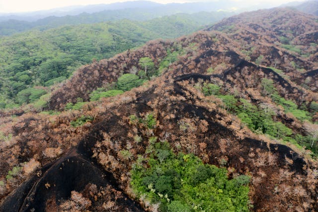 Wildfire damage