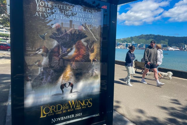 A billboard at a bus stop promotes comedian John Oliver’s campaign for the pūteketeke to be named New Zealand’s Bird of the Century in Wellington, New Zealand