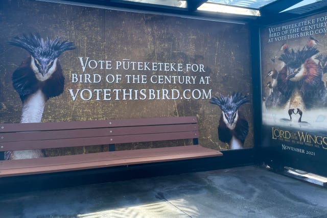 A billboard at a bus stop promotes comedian John Oliver’s campaign for the puteketeke to be named New Zealand’s Bird of the Century in Wellington, New Zealand