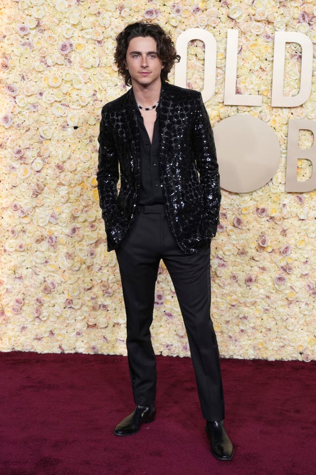 Timothee Chalamet arrives at the 81st Golden Globe Awards