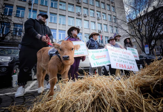 Bulgaria Farmers’Protest