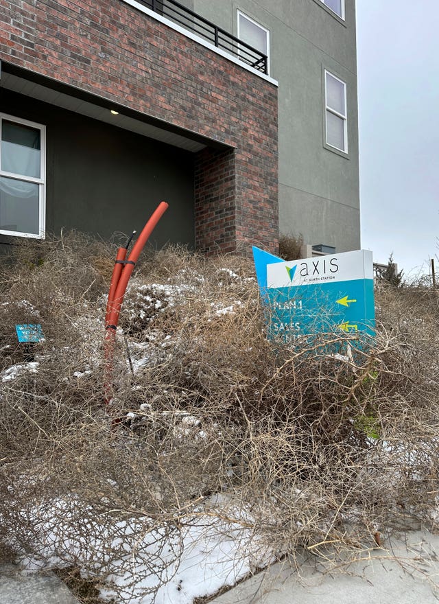 A suburb of Salt Lake City was inundated with tumbleweeds