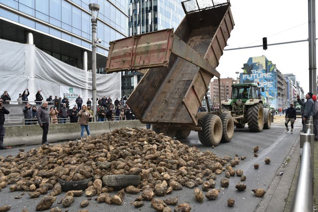 A load of potatoes is dumped