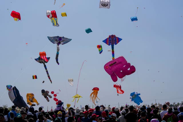 China Kite Festival Photo Gallery