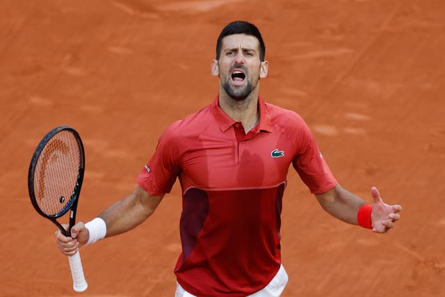 Novak Djokovic celebrates winning at the French Open