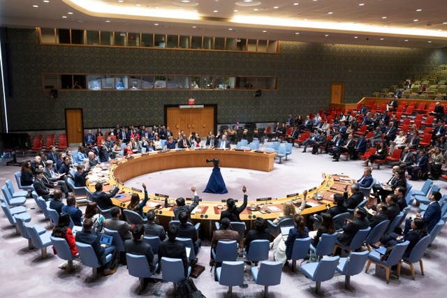 UN Security Council