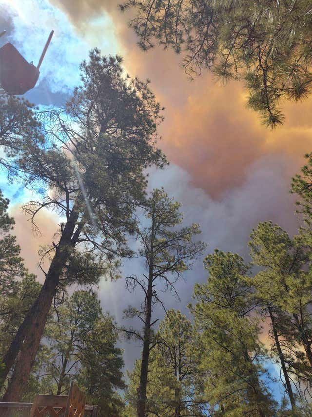 New Mexico Wildfires