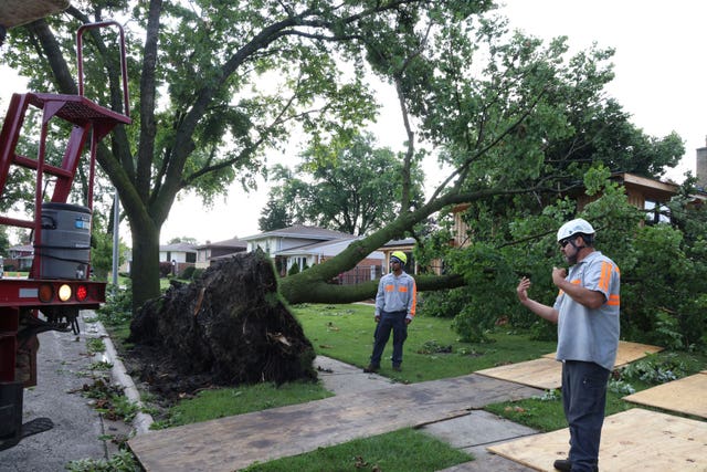 Workers clear an uprooted tree in Illinois