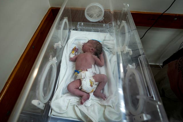 A baby in an incubator