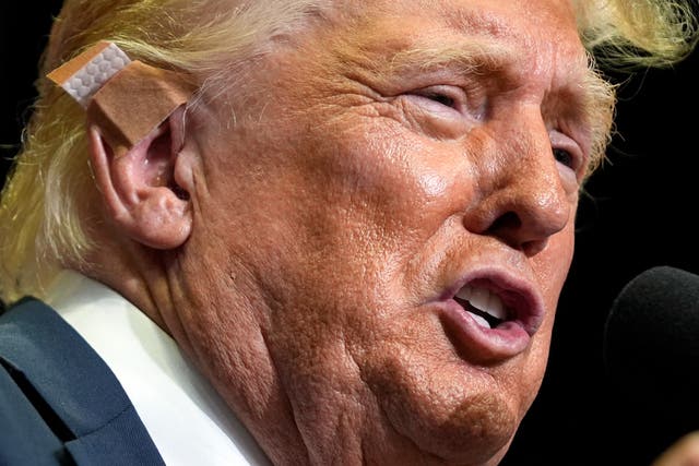 face of Donald Trump with a bandaged ear