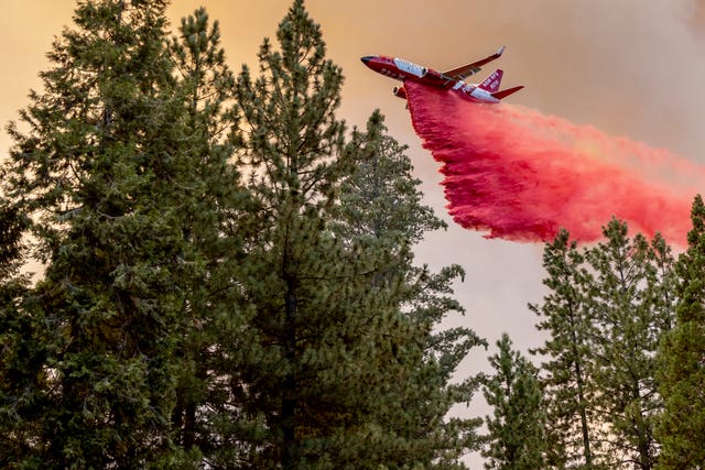 A firefighting plane releases retardant over trees