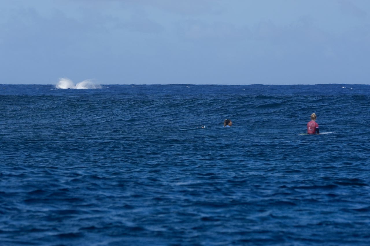 Whale Breach Seen During Paris Olympics Surfing Semi final Competition whale-breach-seen-during-paris-olympics-surfing-semi-final-competition