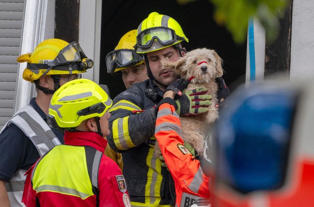 A firefighter holds a dog 