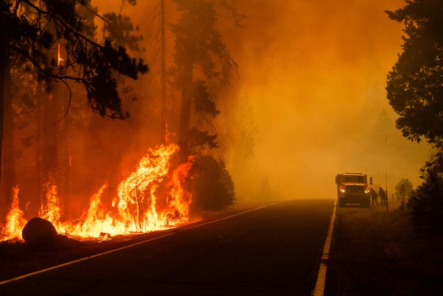 Firefighters work to keep a spot fire from growing along State Route 172 as the Park Fire burns in the Mill Creek community of Tehama County, California