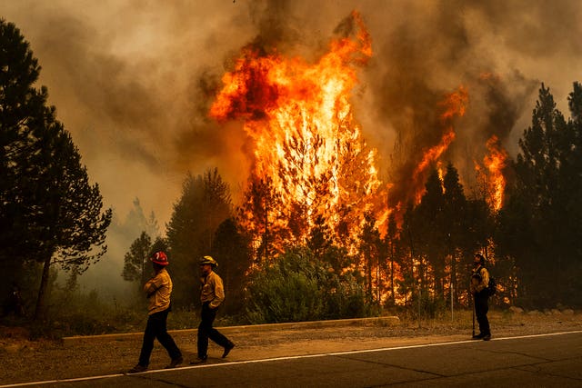 Firefighters work to keep a spot fire from growing 