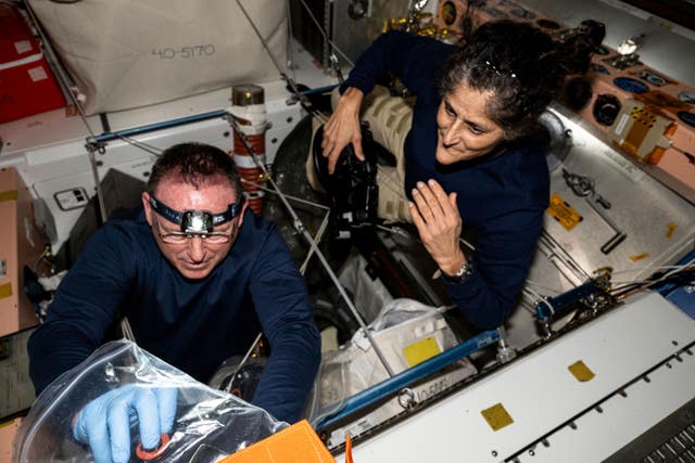 Astronauts Butch Wilmore, left, and Suni Williams inspect safety hardware aboard the International Space Station on August 9 2024