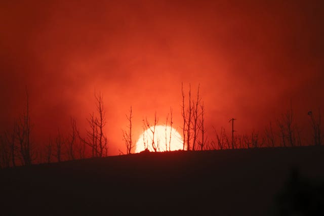 The sun sets behinds burned trees in Varnava village during a wildfire, north of Athens, Greece