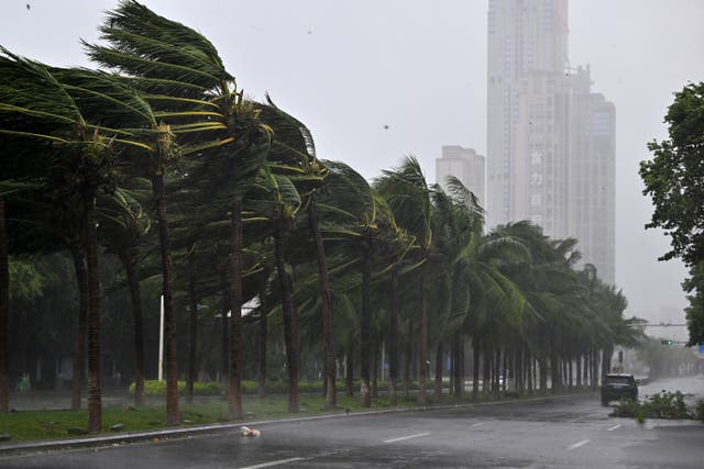 A road in Haikou following the landfall of Typhoon Yagi