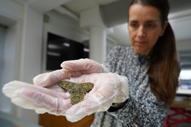 Jannie Amsgaard Ebsen, conservator at Museum Odense, holds a brooch, discovered at the excavation site