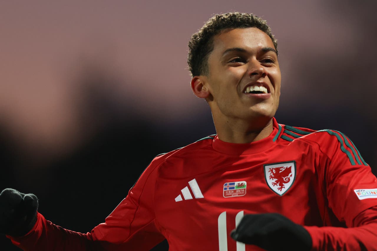 Craig Bellamy says ‘romantic’ Montenegro return for Joe Allen would be