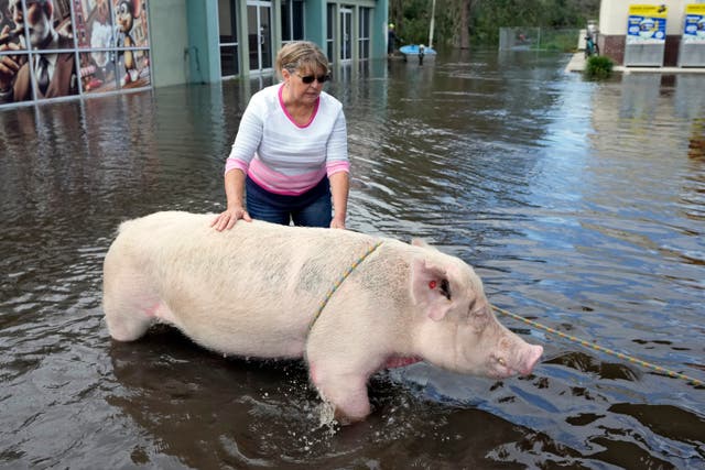 Hurricane Milton Weather