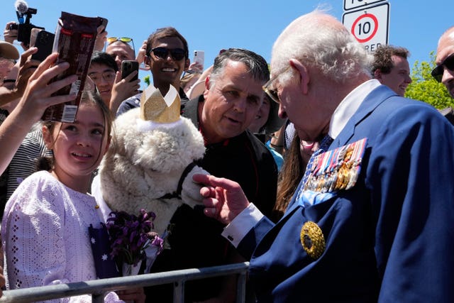 Charles is introduced to an alpaca in Canberra