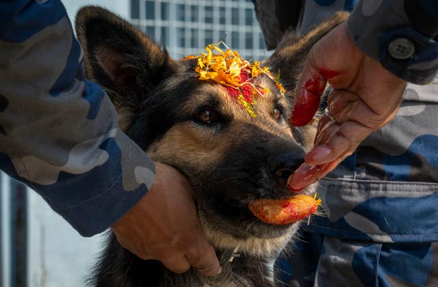 Nepal Festival