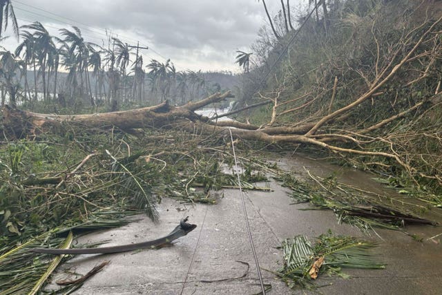 Toppled trees caused by Typhoon Man-yi block a road