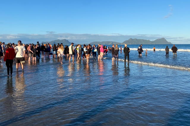 New Zealand Whale Stranding