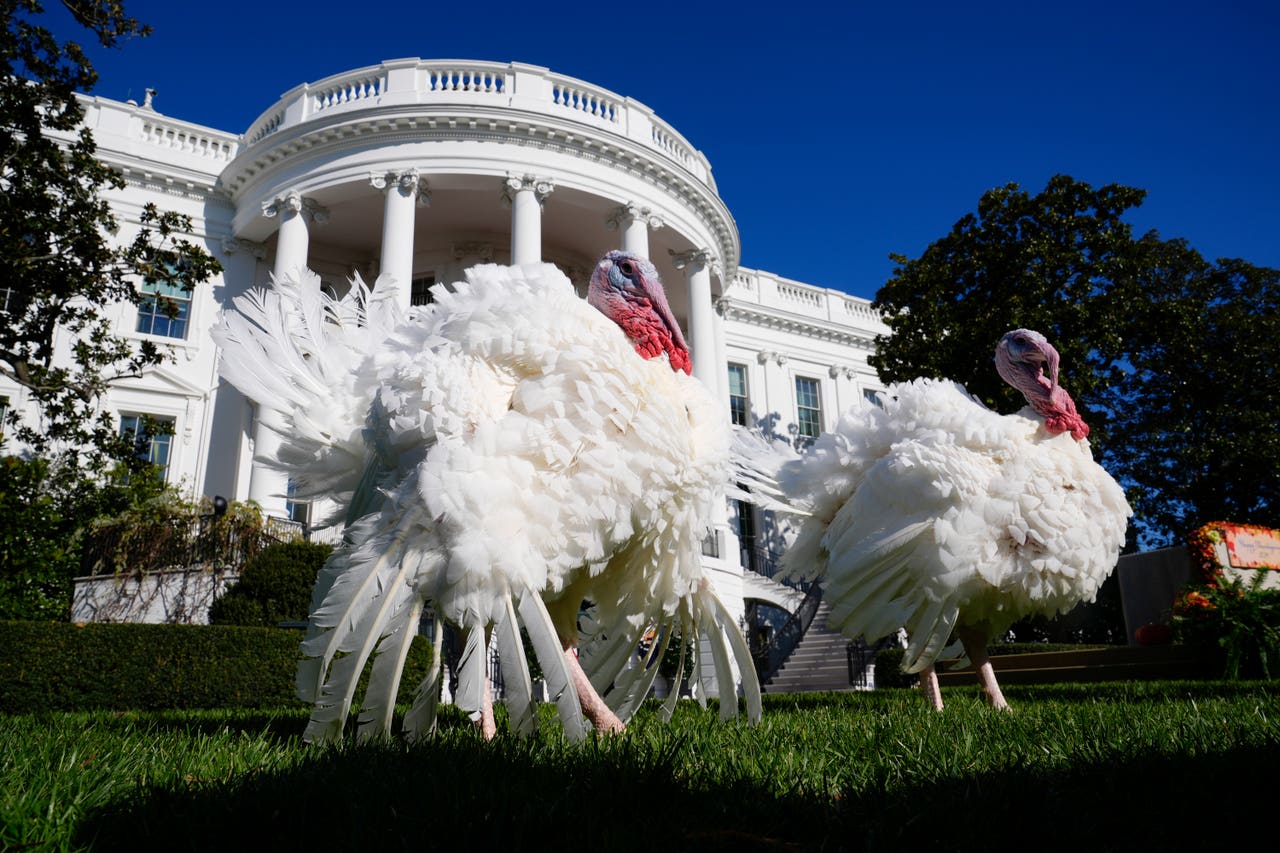 Joe Biden begins final White House holiday season with turkey pardons