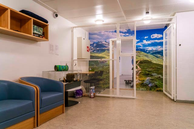 Interior view of a prison cell