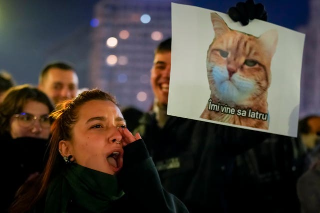 A woman shouts next to a banner depicting a grumpy cat with a text that reads “I feel like barking” in Bucharest, Romania