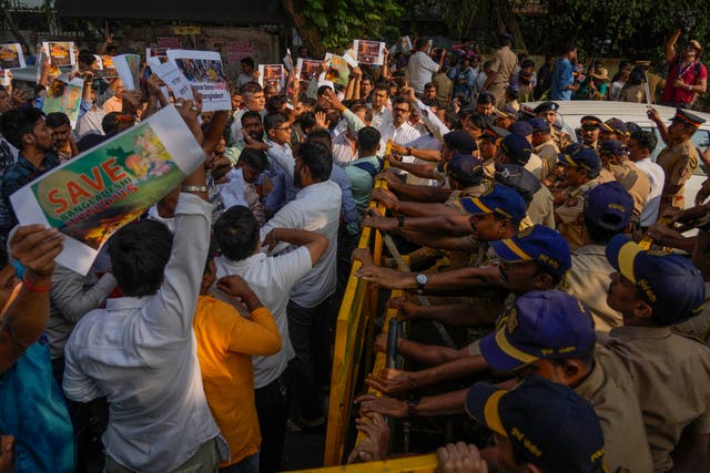 India Bangladesh Protest