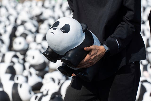 A staff member carries one of the 2500 panda sculptures displayed at the Hong Kong International Airport 