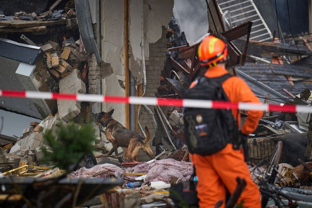 Sniffer dog amid debris while handler watches on