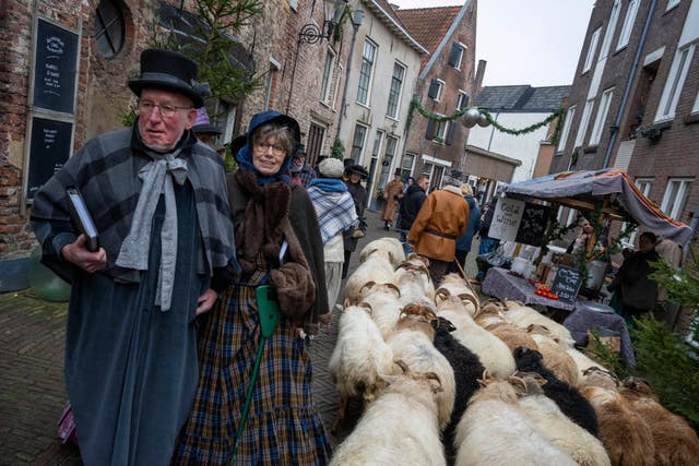 Sheep are driven through the town