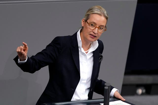 Alternative for Germany's Alice Weidel 